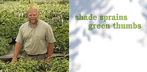 Title of Story, "Shade Sprains Green Thumbs". 